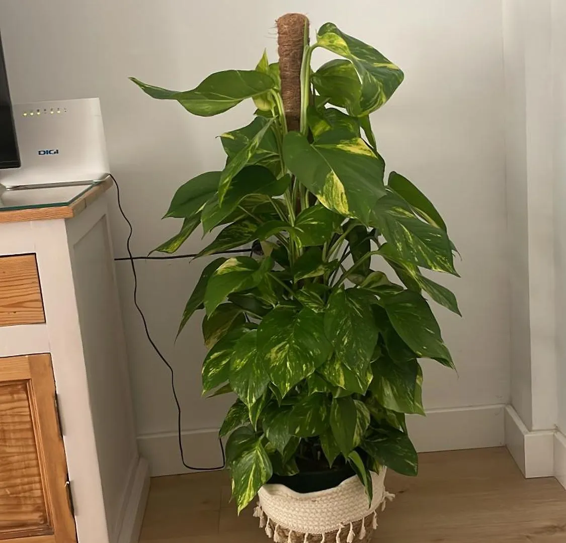 Exclusivo Apartamento Cerca De La Playa Málaga Appartamento